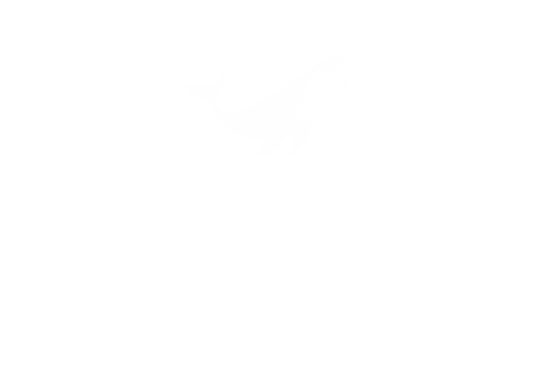 https://www.zlunitsyna.com/